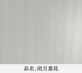 闭月羞花